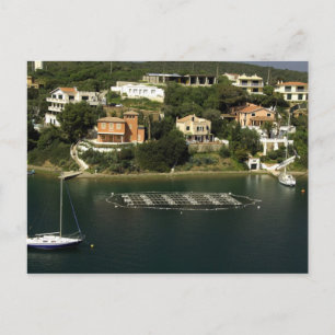 Europa, Spanien, Minorca (alias Menorca). Fische Postkarte