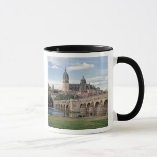 Europa, Spanien, Salamanca. Die römische Brücke Tasse