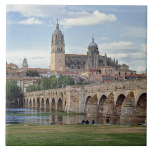 Europa, Spanien, Salamanca. Die römische Brücke üb Fliese