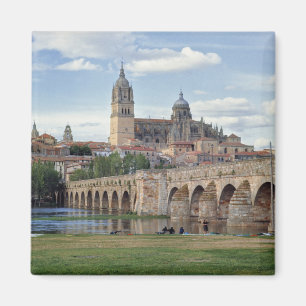 Europa, Spanien, Salamanca. Die römische Brücke üb Magnet