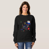 Europa Sweatshirt (Vorne ganz)