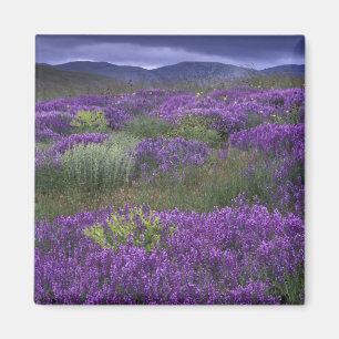 Europa, Türkei, Kappadokien. Ländliche Landschaft  Magnet