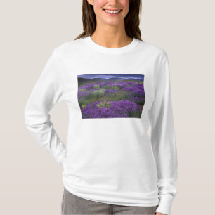 Europa, Türkei, Kappadokien. Ländliche Landschaft T-Shirt