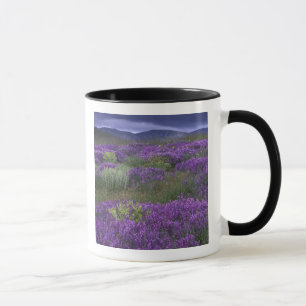 Europa, Türkei, Kappadokien. Ländliche Landschaft  Tasse