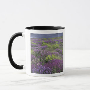 Europa, Türkei, Kappadokien. Ländliche Landschaft  Tasse