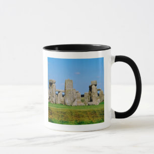 Europa, Vereinigtes Königreich, England, Wiltshire Tasse