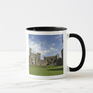 Europa, Wales, Caernarfon. Caernarfon Castle, Tasse