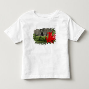 Europa, Wales, Cardiff. Cardiff Castle. Walisisch Kleinkind T-shirt