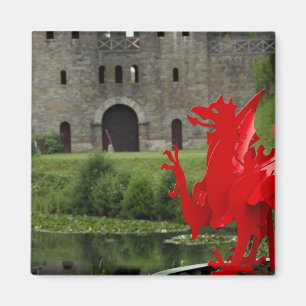 Europa, Wales, Cardiff. Cardiff Castle. Walisisch Magnet