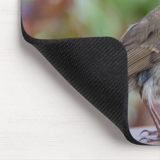 Europäer-Robin-Mäusematte Mousepad (Ecke)