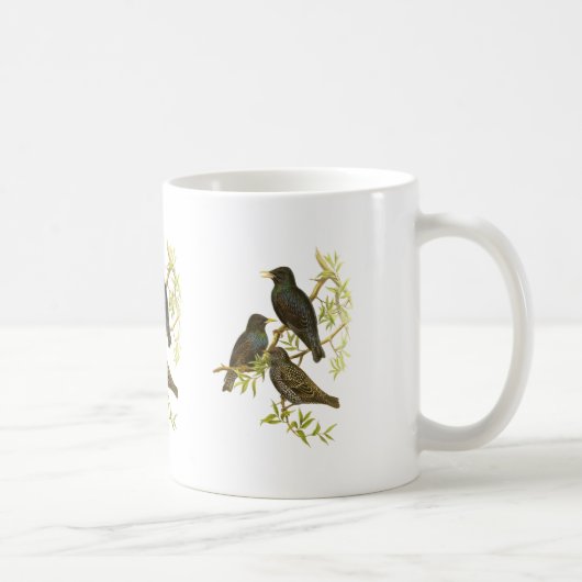 Europäer Starling Kaffeetasse (Rechts)
