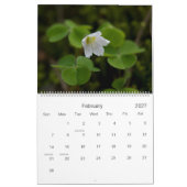 Europäer Wildfowers 2009 Kalender (Feb 2027)