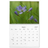 Europäer Wildfowers 2009 Kalender (Mär 2027)