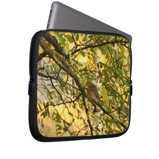 Europafrobin Laptopschutzhülle (Vorne Rechts)