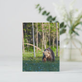 Europäische Bärenpostkarte Postkarte (Stehend Vorderseite)