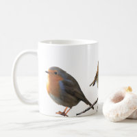 Europäische Englisch-Robin-Vogelrotbrüste