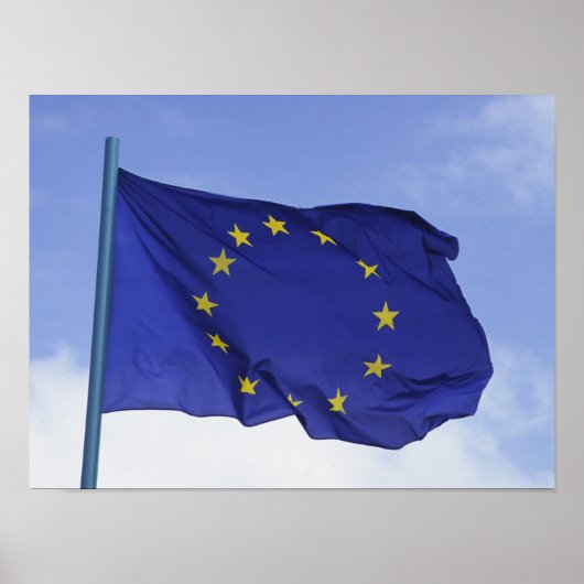 Europäische Flagge (FFA) Poster (Vorne)