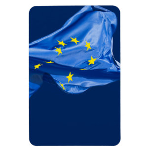 Europäische Flagge Magnet