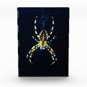 Europäische Gartenspinne pbcna Fotoblock (Vorderseite)