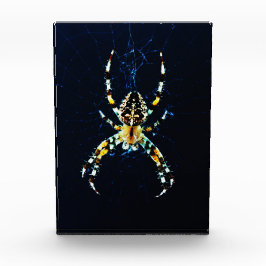 Europäische Gartenspinne pbcnm Fotoblock