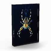 Europäische Gartenspinne pbcnm Fotoblock (Links)