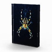 Europäische Gartenspinne pbcnm Fotoblock (Rechts)