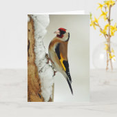 Europäische Goldfinch-Schneegrüßkarte Karte (Gelbe Blume)