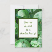 Europäische Ingwer-Pflanze verlässt Garten-Party Einladung (Vorderseite)