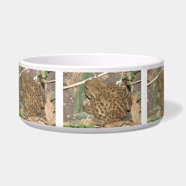 Europäische Krötenschüssel Napf (Links)