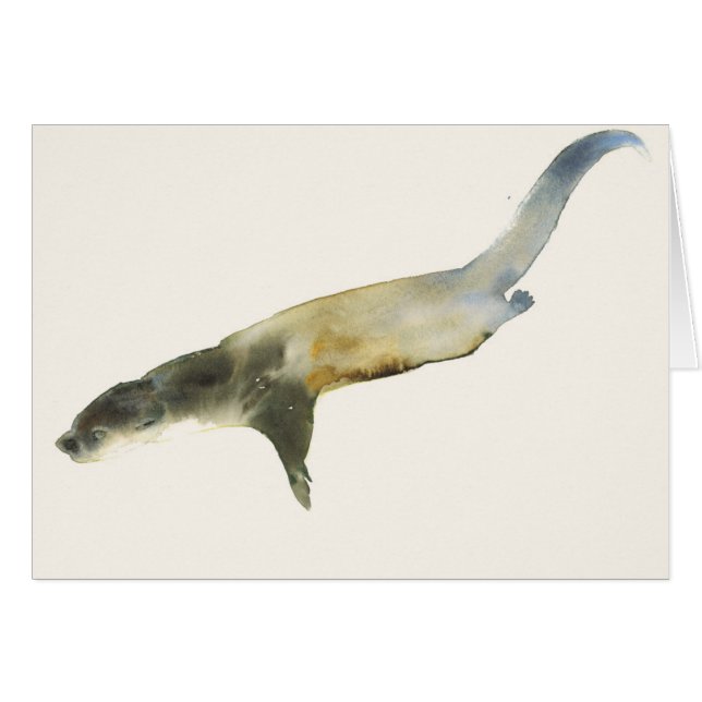 Europäische Otter (Vorderseite (Horizontal))