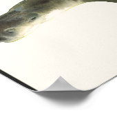 Europäische Otter Poster (Ecke)