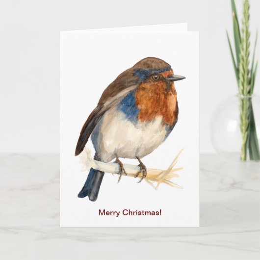 Europäische Robin sieht links Weihnachtskarte aus Karte (Vorderseite)