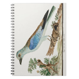 europäische Rolle Notizblock