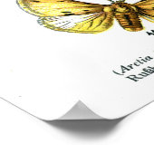 Europäische Schmetterlinge (Blatt 10) Poster (Ecke)