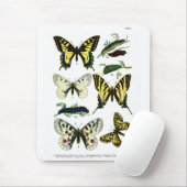 Europäische Schmetterlinge I Mousepad (Mit Mouse)