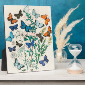 Europäische Schmetterlinge, Illustrationen Fotoplatte (Seite)