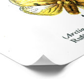 Europäische Schmetterlinge Poster (Ecke)