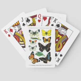 Europäische Schmetterlingsplatte II Spielkarten