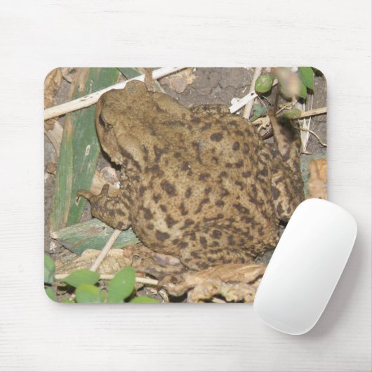 Europäische Toad Mousepad (Mit Mouse)
