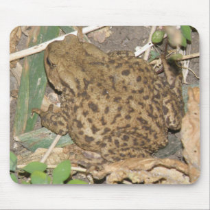 Europäische Toad Mousepad