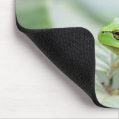 Europäischer Baumfrosch im grünen mousepad (Ecke)