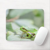 Europäischer Baumfrosch im grünen mousepad (Mit Mouse)