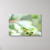 Europäischer Baumfrosch in grüner Leinwand (Vorderseite)