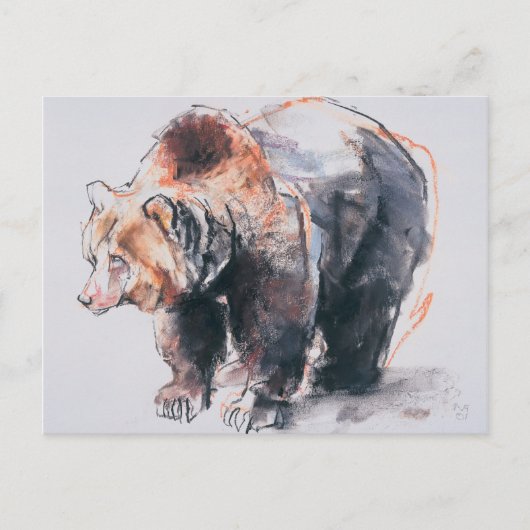 Europäischer Braunbär 2001 Postkarte (Vorderseite)