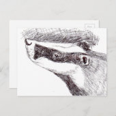 Europäischer Dachs (a455) Postkarte (Vorne/Hinten)