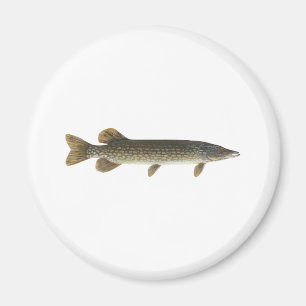 Europäischer Hecht Magnet