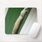 Europäischer Hecht Mousepad (Mit Mouse)