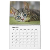 Europäischer Kurzzeitkalender Kalender (Jan 2027)