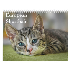 Europäischer Kurzzeitkalender Kalender