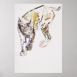 Europäischer Lynx Poster